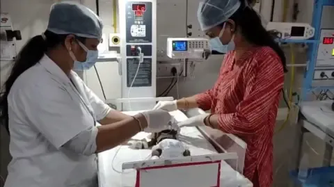 Baby Interred Living in the Country Battles for Her Life